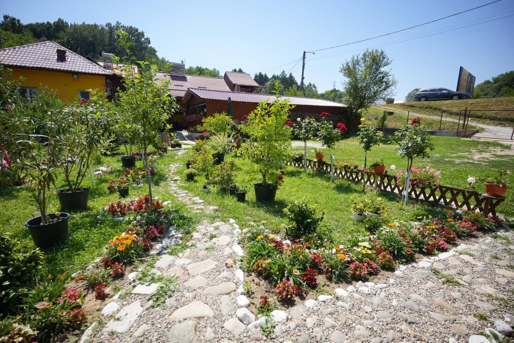 Privatunterkunft Casa Ion