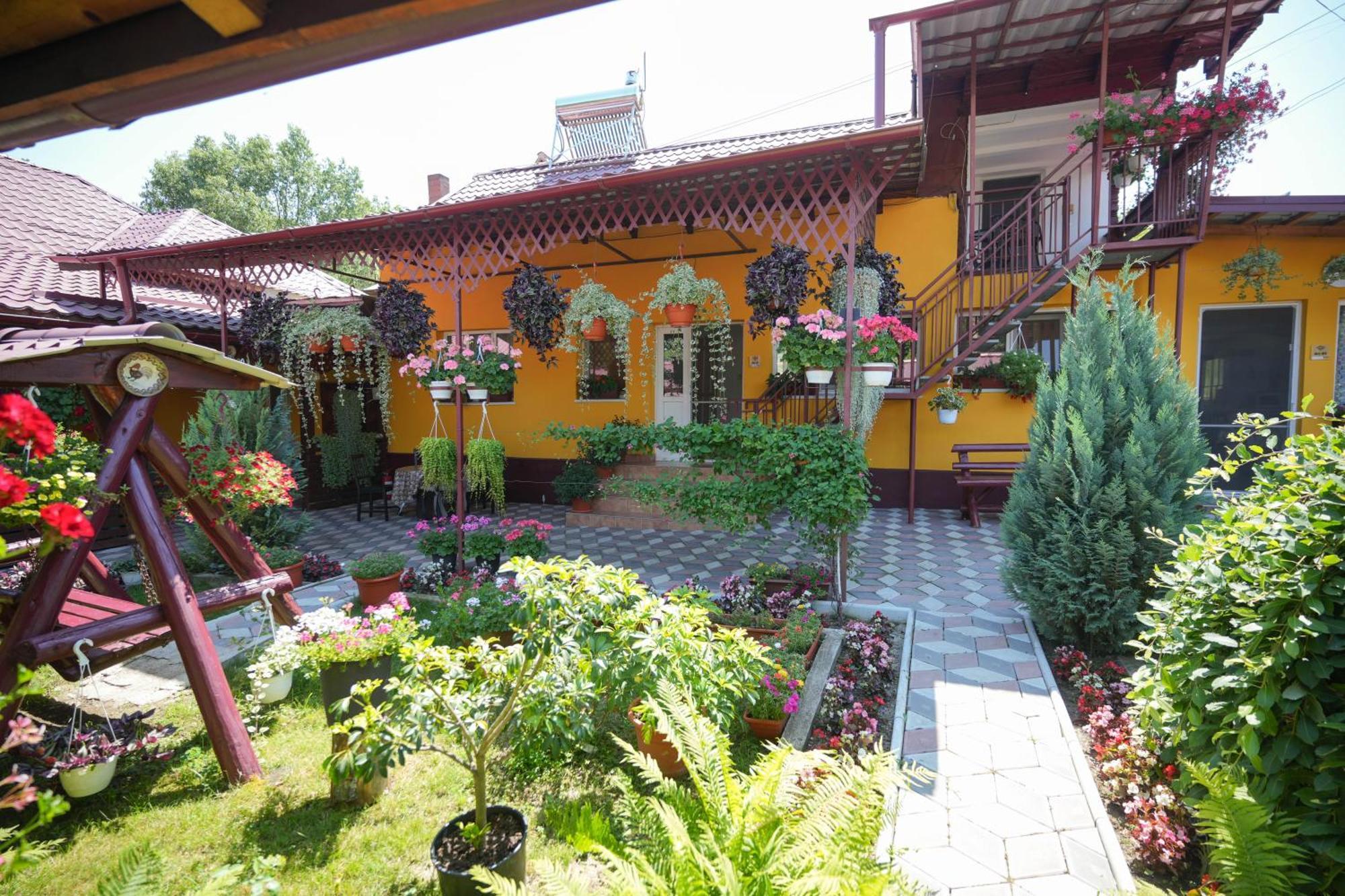 Casa Ion *