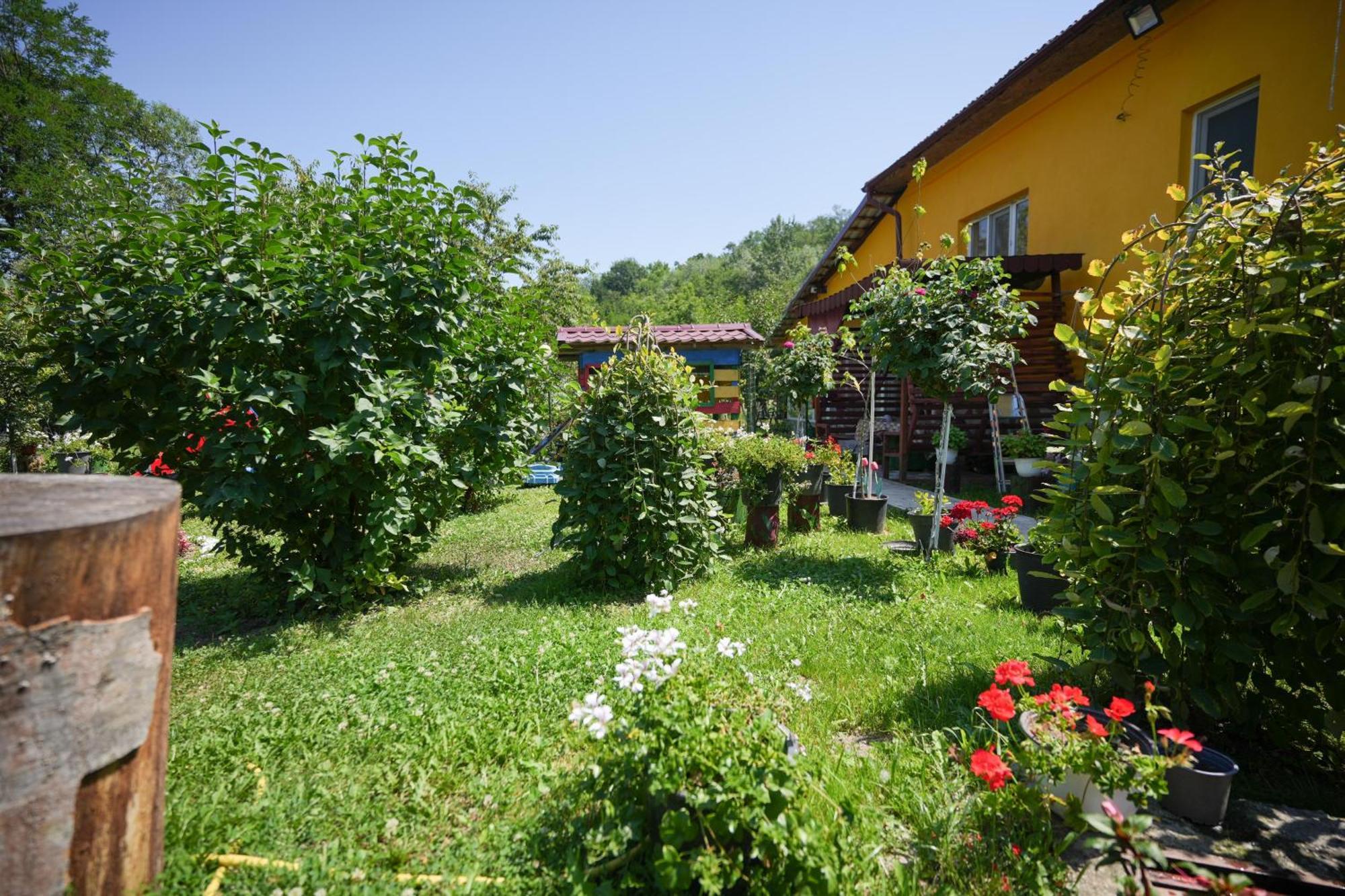 Privatunterkunft Casa Ion *
