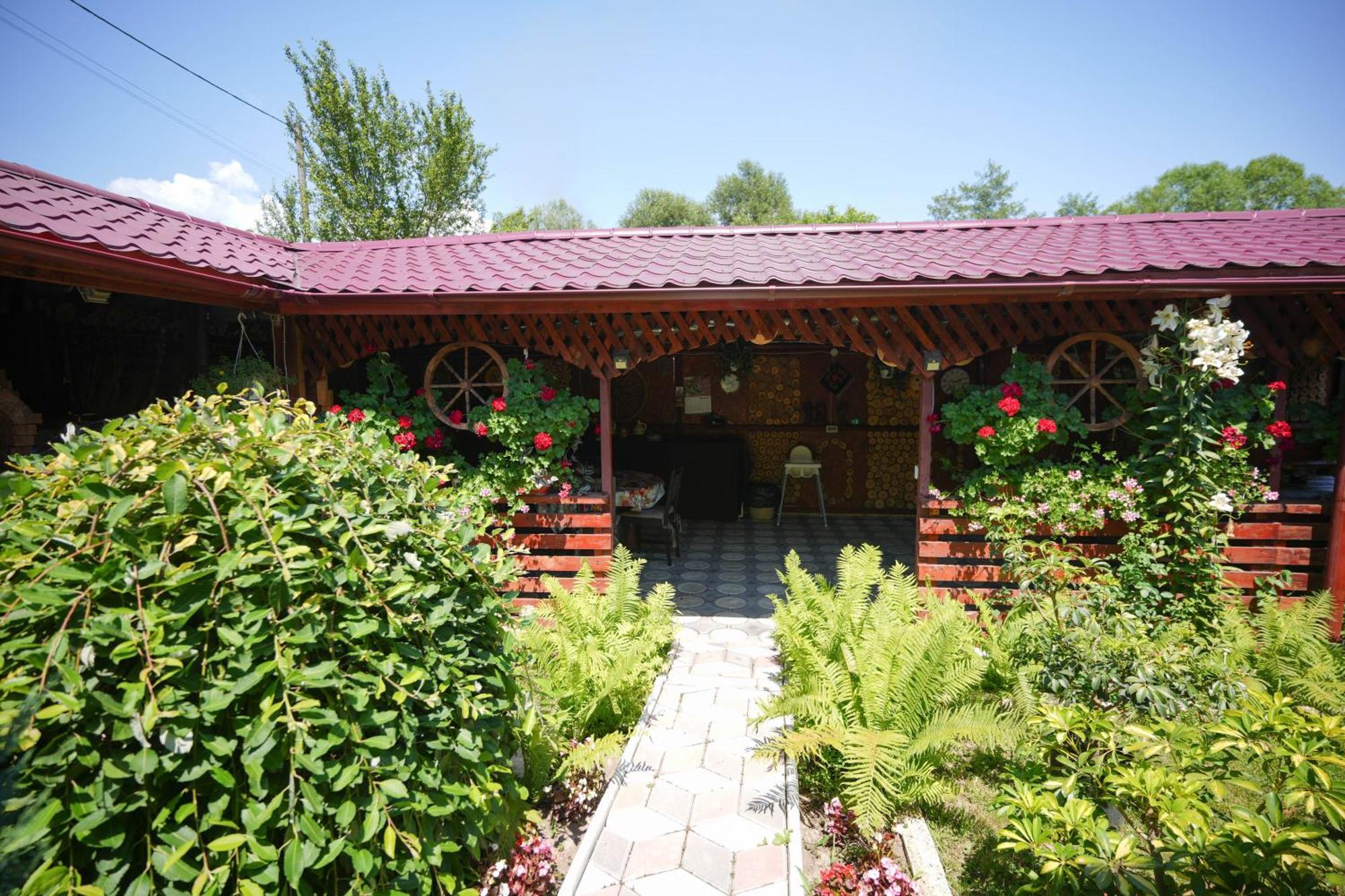 Casa Ion *