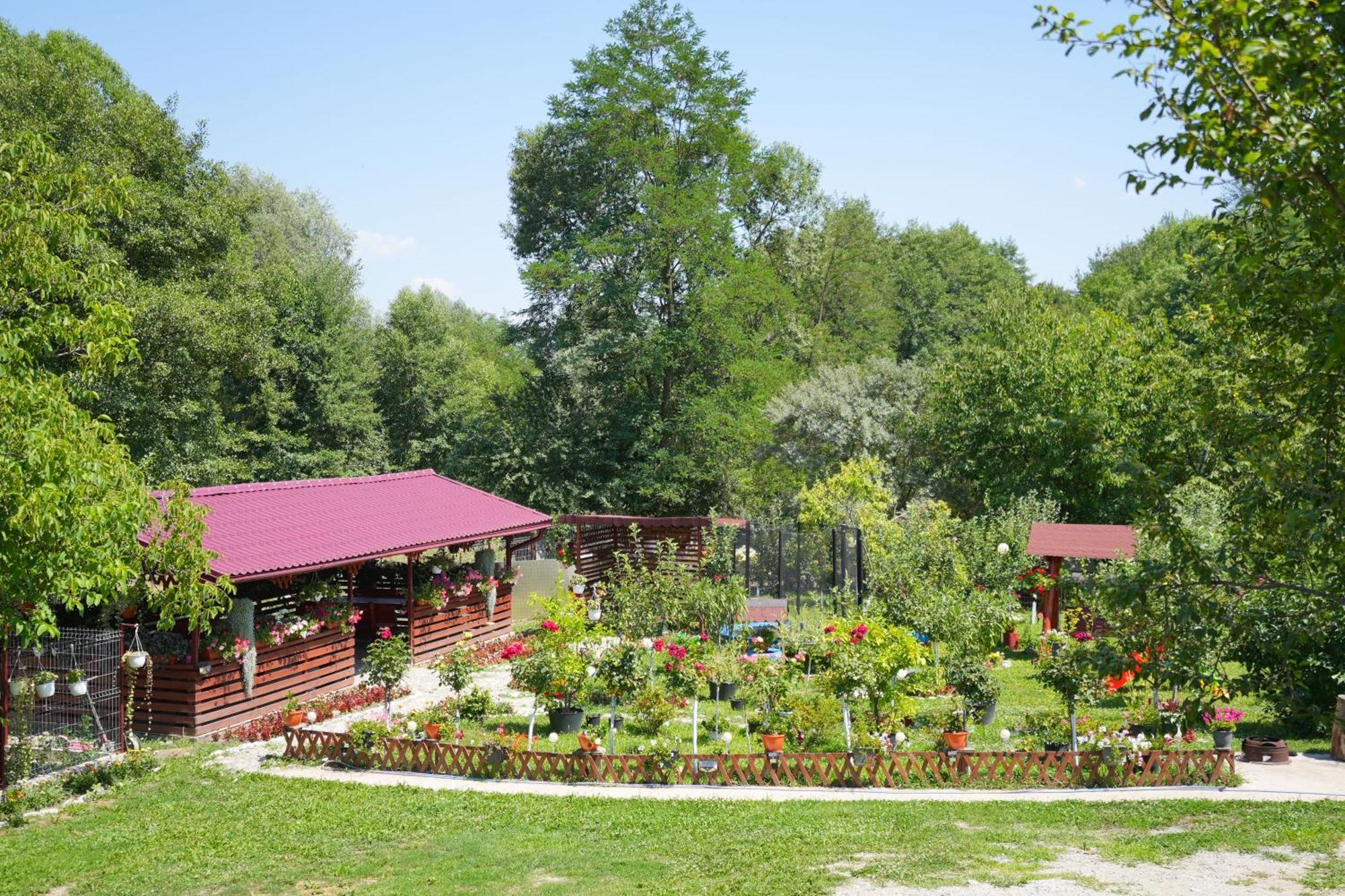 Casa Ion Privatunterkunft *