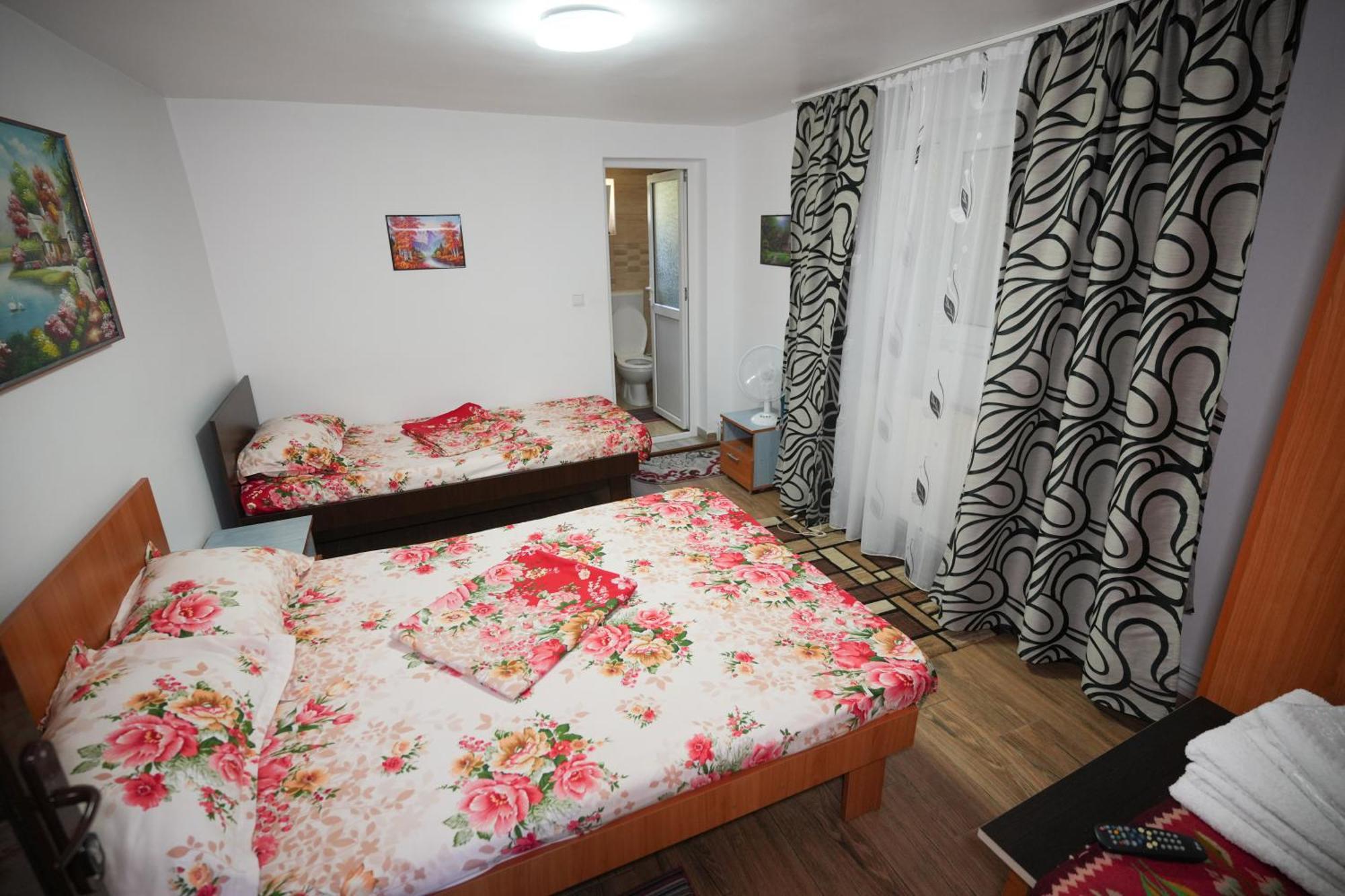 Casa Ion Horezu